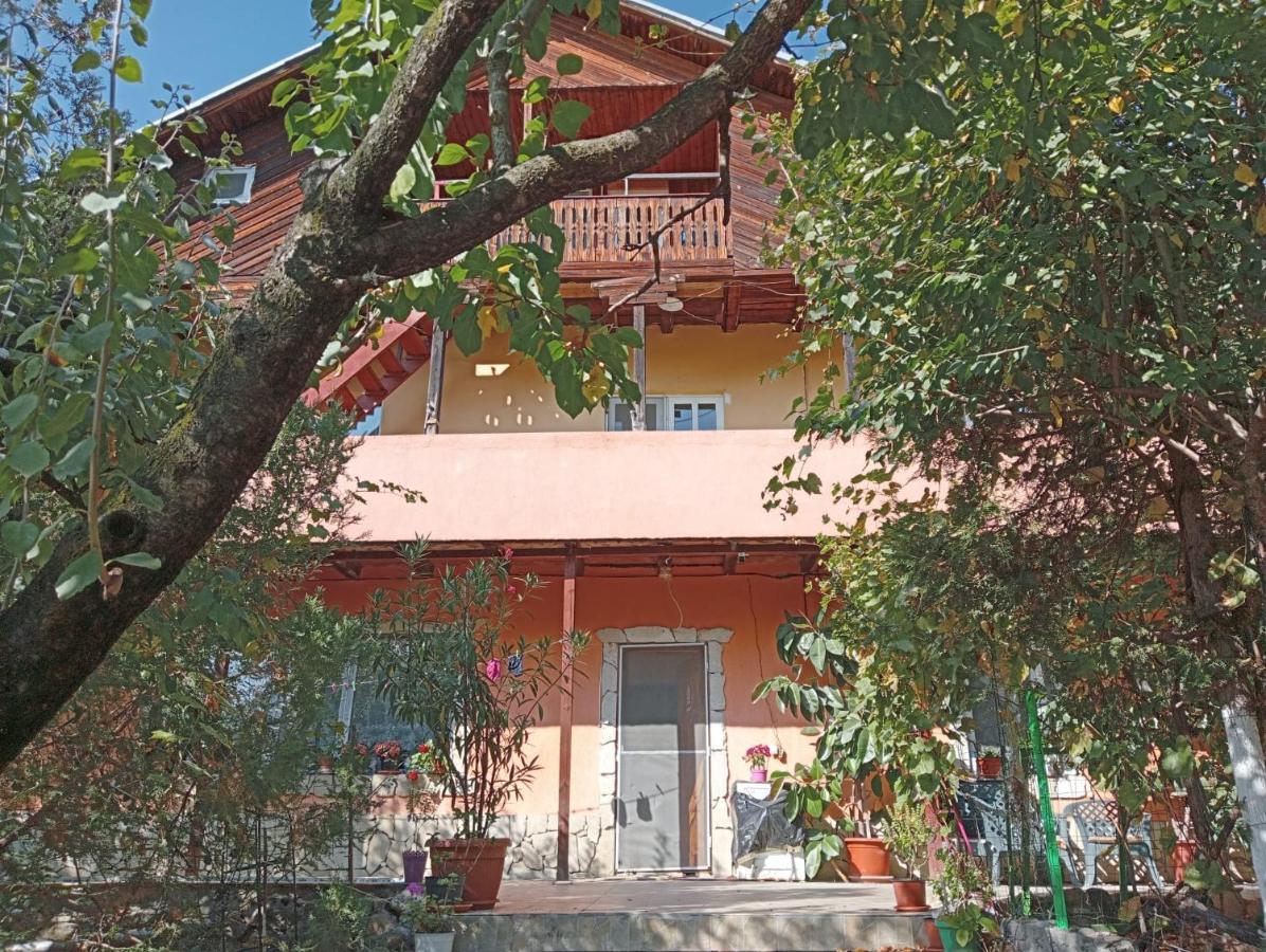 Maison d'hôtes Mara Sărata-Monteoru
