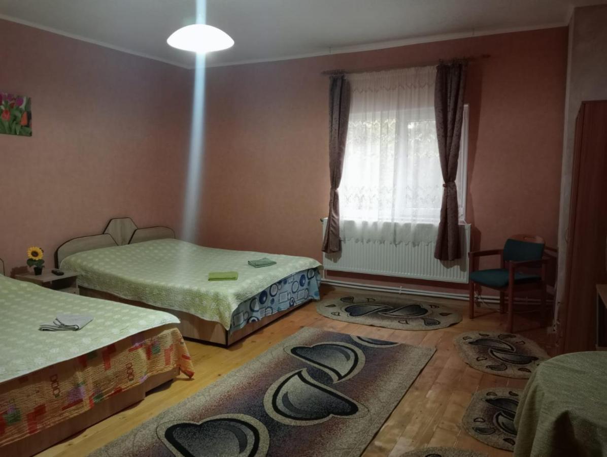 Mara Maison d'hôtes Sărata-Monteoru